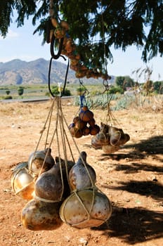 Calabash gourd bottles in Mexico