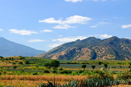 Landscape in Jalisco,  Mexico