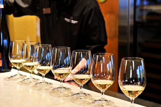 Wine tasting glasses