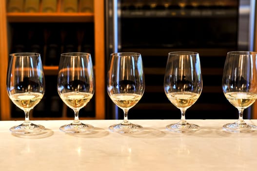 Wine tasting glasses