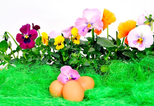 Easter Flowers Eggs