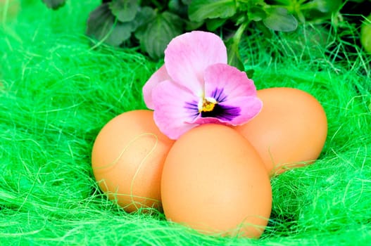 Easter Flowers Eggs