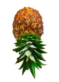 pineapple background