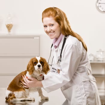 Young female veterinarian examining dog. Square format.