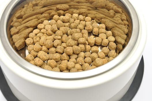 Dog food