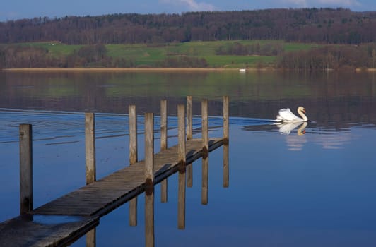 Beinwil am See