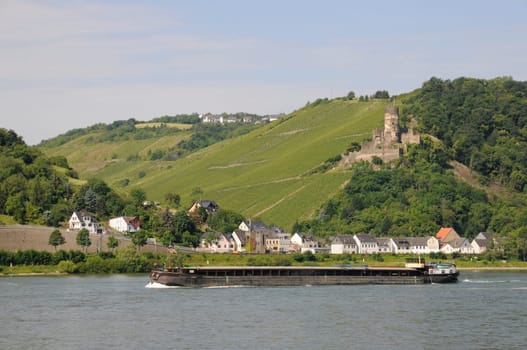 Barge on the Rhine near Rheindiebach