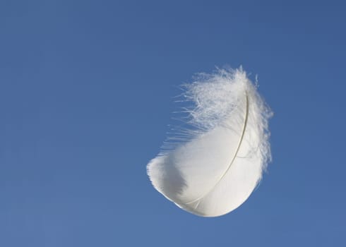 Light as a feather