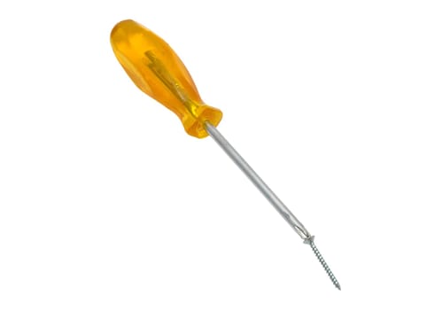 Phillips screwdriver with screw
