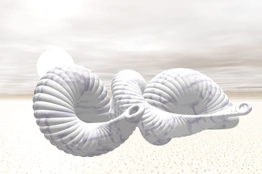 Mussels