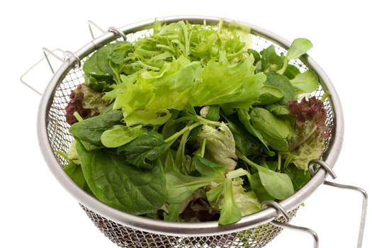 lettuce