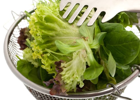 lettuce