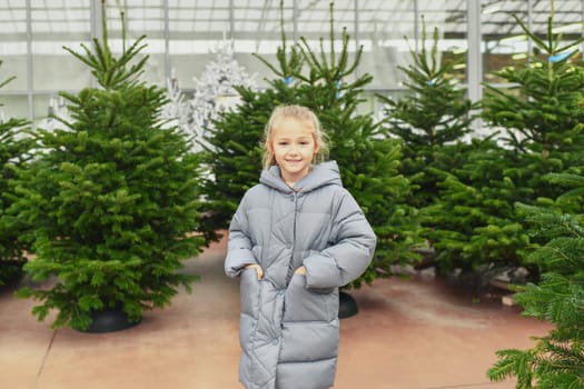 Small girl chooses a Christmas tree in the shop.