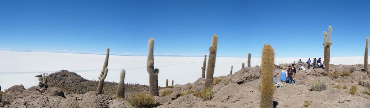 Bolivia, Desert of Uyuni salt, pan