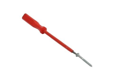 Screwdriver with screw