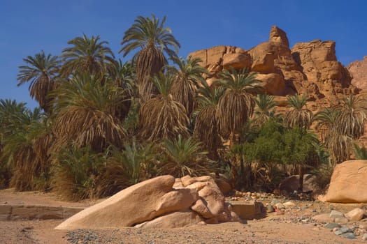 A paradise in the desert