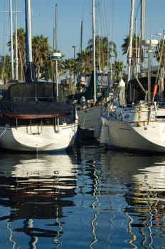 Tropical Harbor