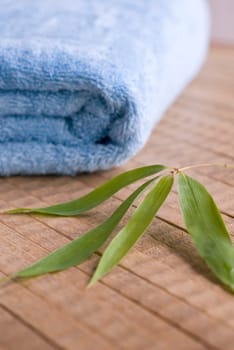 Towel 06