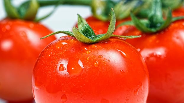 tomatoes fresh vegetable background