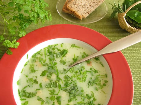 Cream of herb soup