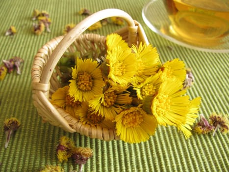 Tea with coltsfoot