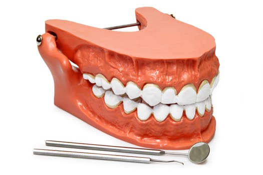 Dental Tools