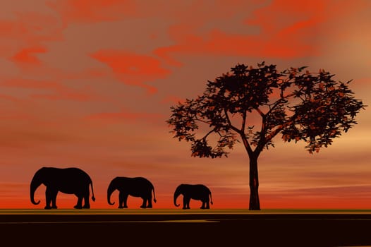 Paper Cut Elephants
