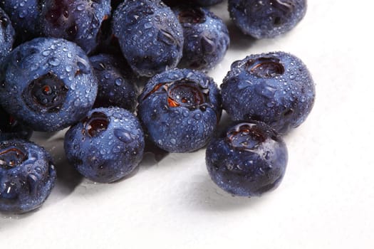 blueberry closeup
