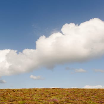 Wolkenband