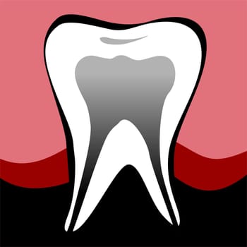 Teeth