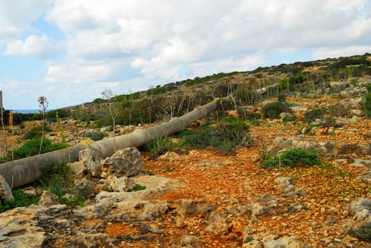 The sewer pipe