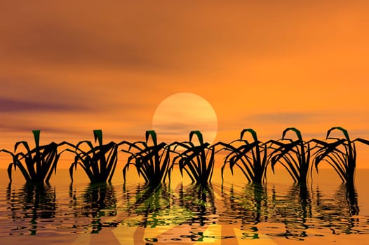 Rice Field Paper Cut