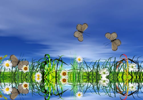 Butterfly Meadow