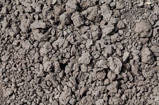 Dry Cracked Earth