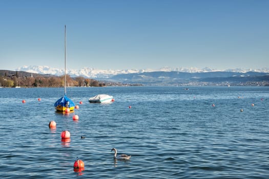 Lake Zurich with Alps