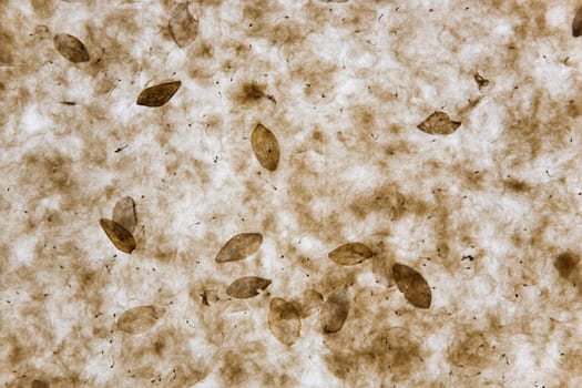Paper background with plant parts and scooped flowers