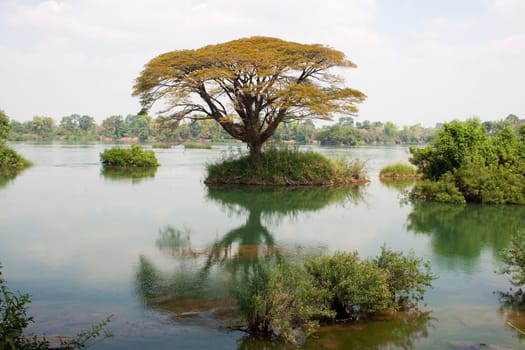 Mekong