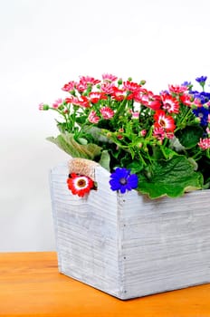 Flowers in the trough