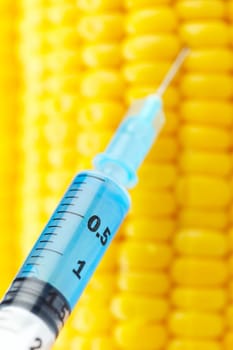 syringe threaded in corn crop, injecting some liquid. Selective focus, copy space
