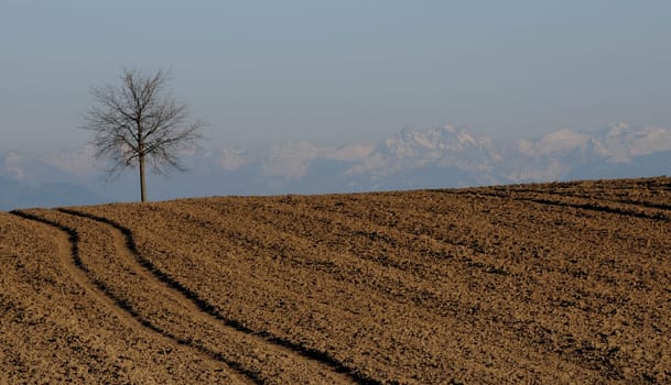 Foehn