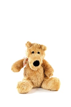 Plush dog