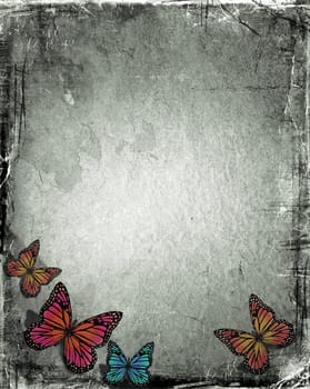 Butterfly on grunge background
