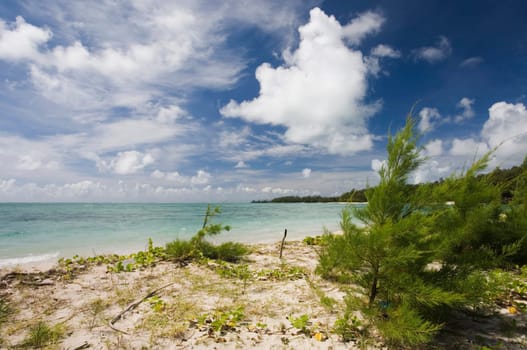 Ile aux cerfs
