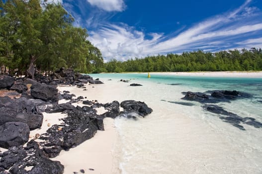 Dream Island