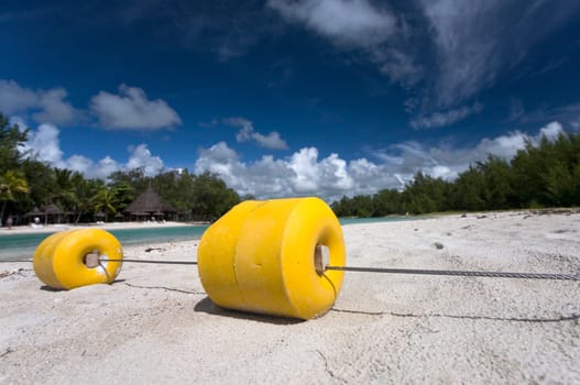 yellow bathing border