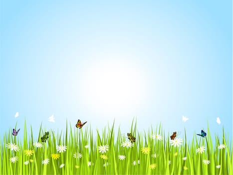 Butterflies on flowers in grass