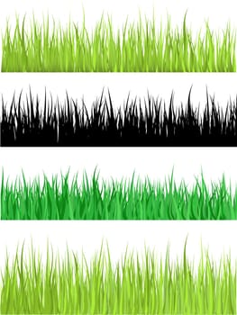 Detailed grass