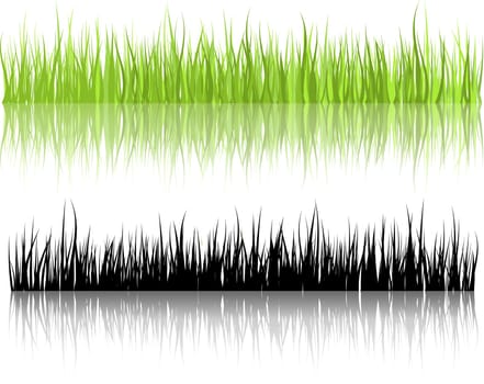 Grass illustrations with reflections