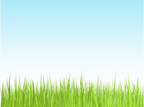 Grass against blue sky