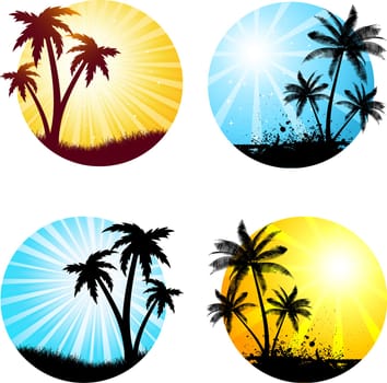 Various summer scenes with palm trees